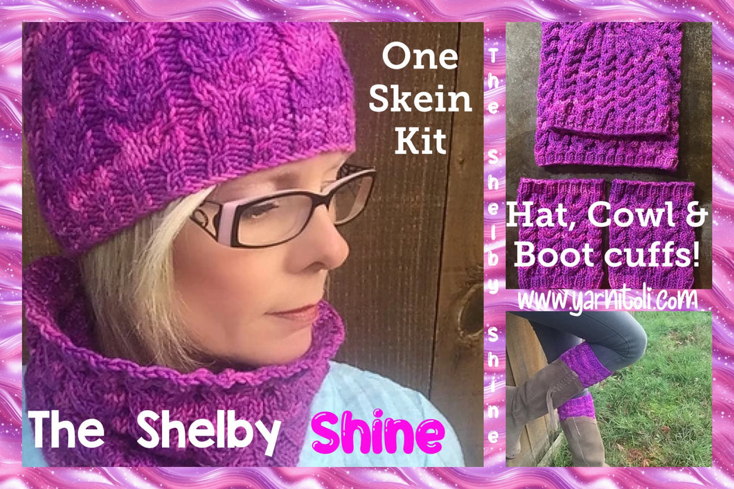 The Shelby Shine Kit (1 skein)
