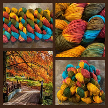 Load image into Gallery viewer, Hand Dyed Yarn